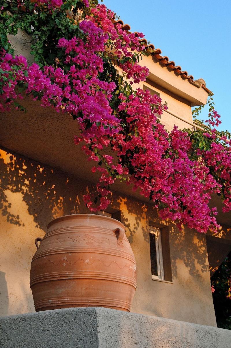 Paradise Island Villas Hersonissos  Zewnętrze zdjęcie